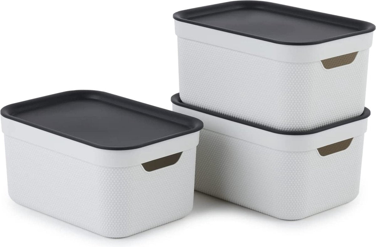 Rotho jive boîtes de rangement lot de 3 boîtes de rangement 5 l avec couvercle, plastique (pp recyclé), blanc anthracite, 3 x 5 l (26,5 x 18,5 x 13,2 cm