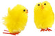 Creativ Company Yellow Pâques Chicks Chenille, 12e.