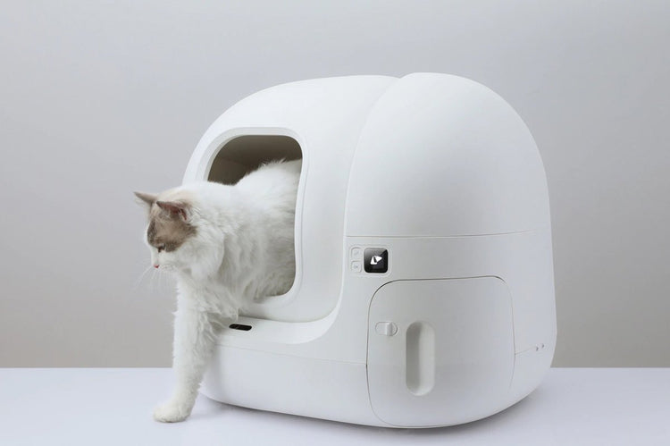 Petkit pura max chat petite boîte