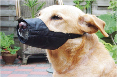 Beeztees Muselière de sécurité nylon xl - 24 cm - muselière pour chien - normal - noir