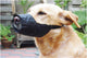 Beeztees Muselière de sécurité pour chien L - 18,5 cm - Muselière - Nylon - Noir