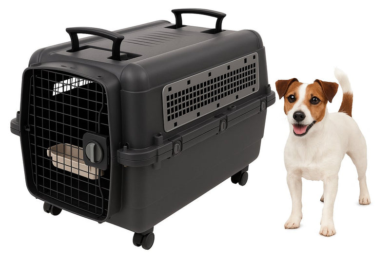 Caisse de voyage Flamingo pour chien – caisse de voiture – caisse de transport chien m 71x51x54 cm – cage de transport Lanta gris foncé