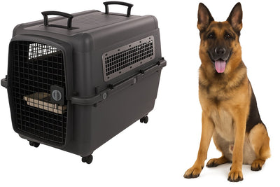 Caisse de voyage Flamingo pour chien – caisse de voiture – caisse de transport chien xxl 101x67x81 cm – cage de transport lanta gris foncé
