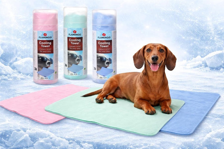 Tapis rafraîchissant Flamingo pour chien - Serviette rafraîchissante pour chien - Serviette rafraîchissante pour chiens - Plusieurs couleurs brumeuses - 66x43 cm