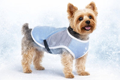 Flamingo Veste rafraîchissante pour chien - Gilet rafraîchissant pour chien - Gilet rafraîchissant pour chien - S - 30 cm - Gris bleu glacé - Gilet d'été rafraîchissant pour chiens avec fermeture à clic