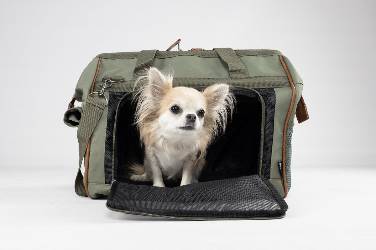 Sac de transport pour chien Flamingo Hannah vert – sac de transport pour chien confortable avec maille d'aération, compartiments de rangement mousqueton – 47x26,5x34 cm