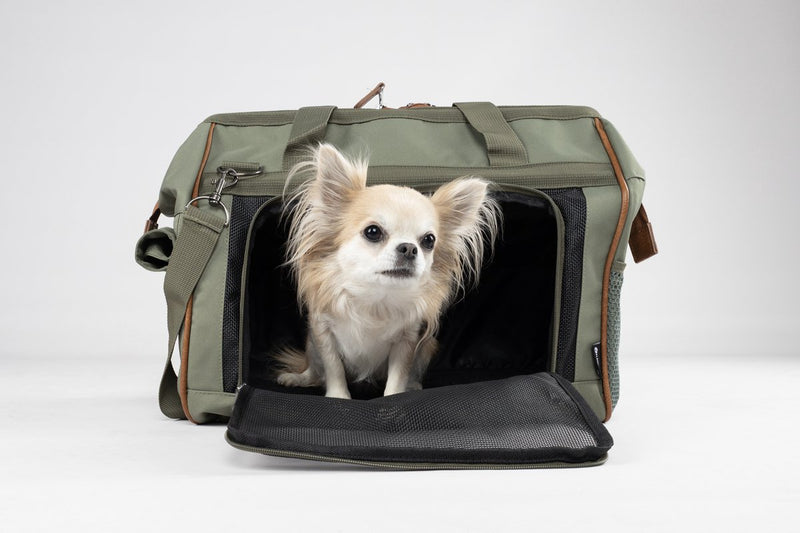 Sac de transport pour chien Flamingo Hannah vert – sac de transport pour chien confortable avec maille d'aération, compartiments de rangement mousqueton – 47x26,5x34 cm