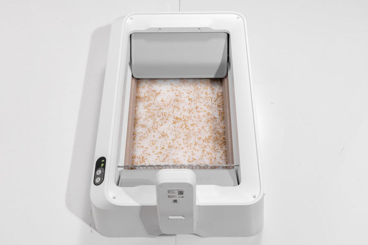 Petkit - ensemble de litière en cristal pour moniteur d'urine - détection du pH - 4 paquets - santé animale - bac à litière