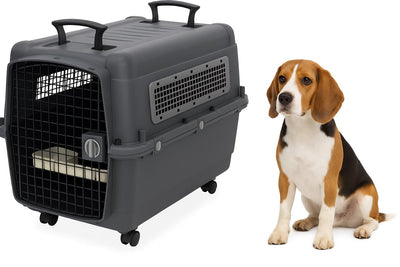 Caisse de voyage Flamingo chien – caisse de voiture – caisse de transport chien l 80x56x65,5 cm – cage de transport lanta gris foncé