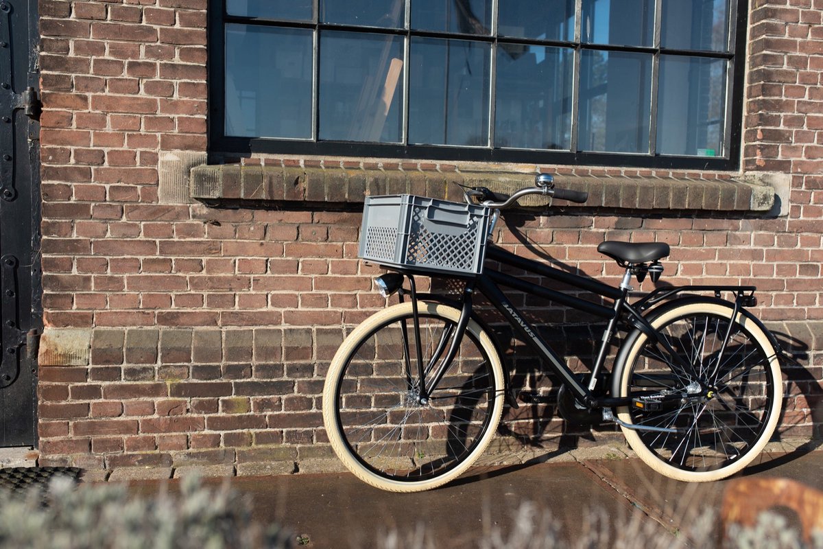 Caisse à vélo Fastrider gris moyen