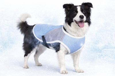 Veste rafraîchissante Flamingo pour chien - Gilet rafraîchissant pour chien - Gilet rafraîchissant pour chien - XL - 45 cm - Bleu gris glacé - Manteau rafraîchissant réglable pour l'été