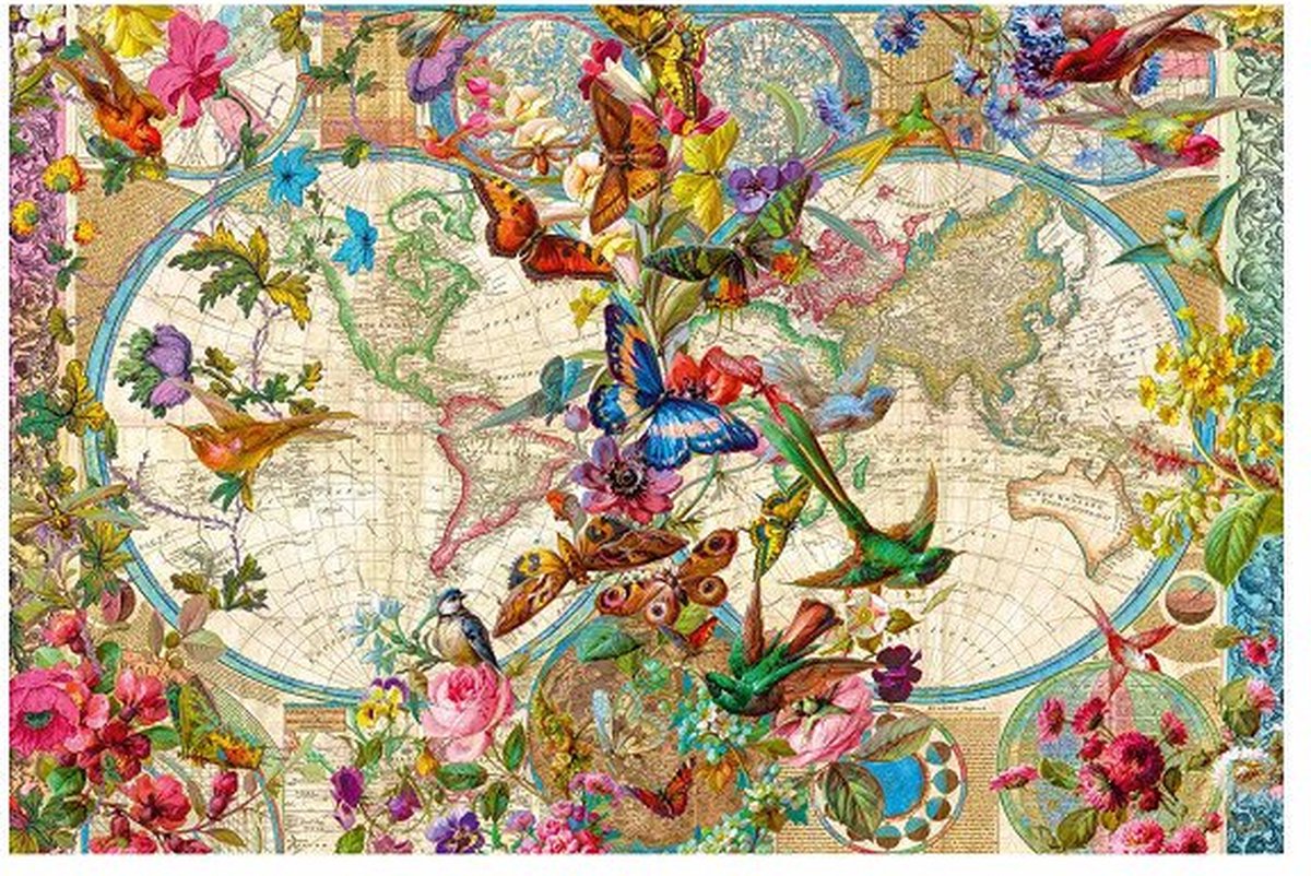 Plora and Fauna World Map, 3000st.