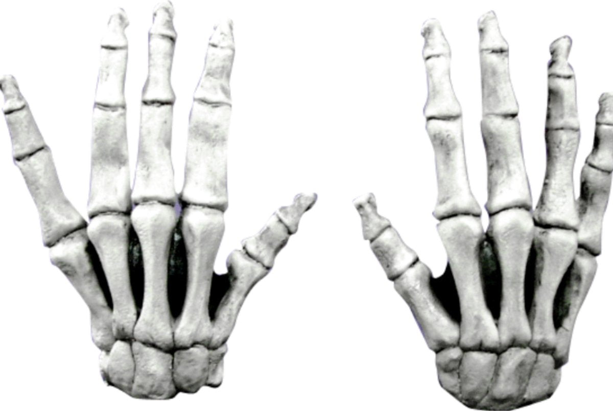 Ghoulish productions gants squelette courts pour adultes Halloween - attribut de costume - taille unique