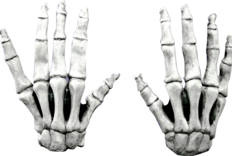 Ghoulish productions gants squelette courts pour adultes Halloween - attribut de costume - taille unique