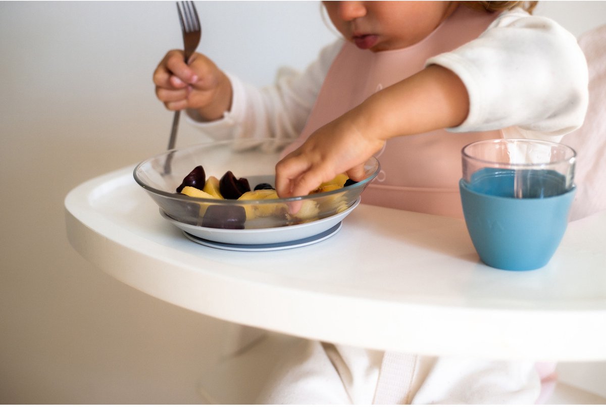 Béaba service repas en verre - jungle - assiette, bol tasse - avec ventouses - hygiénique anti-rayures