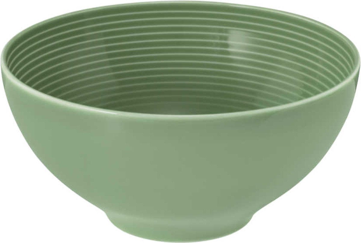 Seltmann Weiden a battu le bol salbeigrün d'environ 15,5 cm