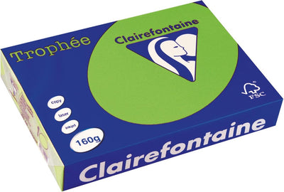 Clairefontaine trophée intense a4 vert herbe 160 g 250 feuilles