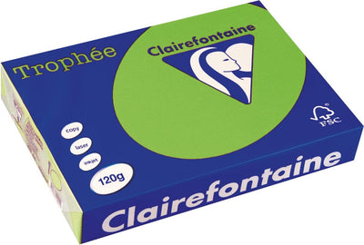 Clairefontaine trophée intense, papier coloré, a4, 120 g, 250 feuilles, vert gazon