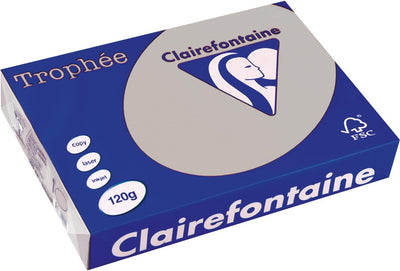Clairefontaine trophée pastel a4 gris clair 120 g 250 feuilles