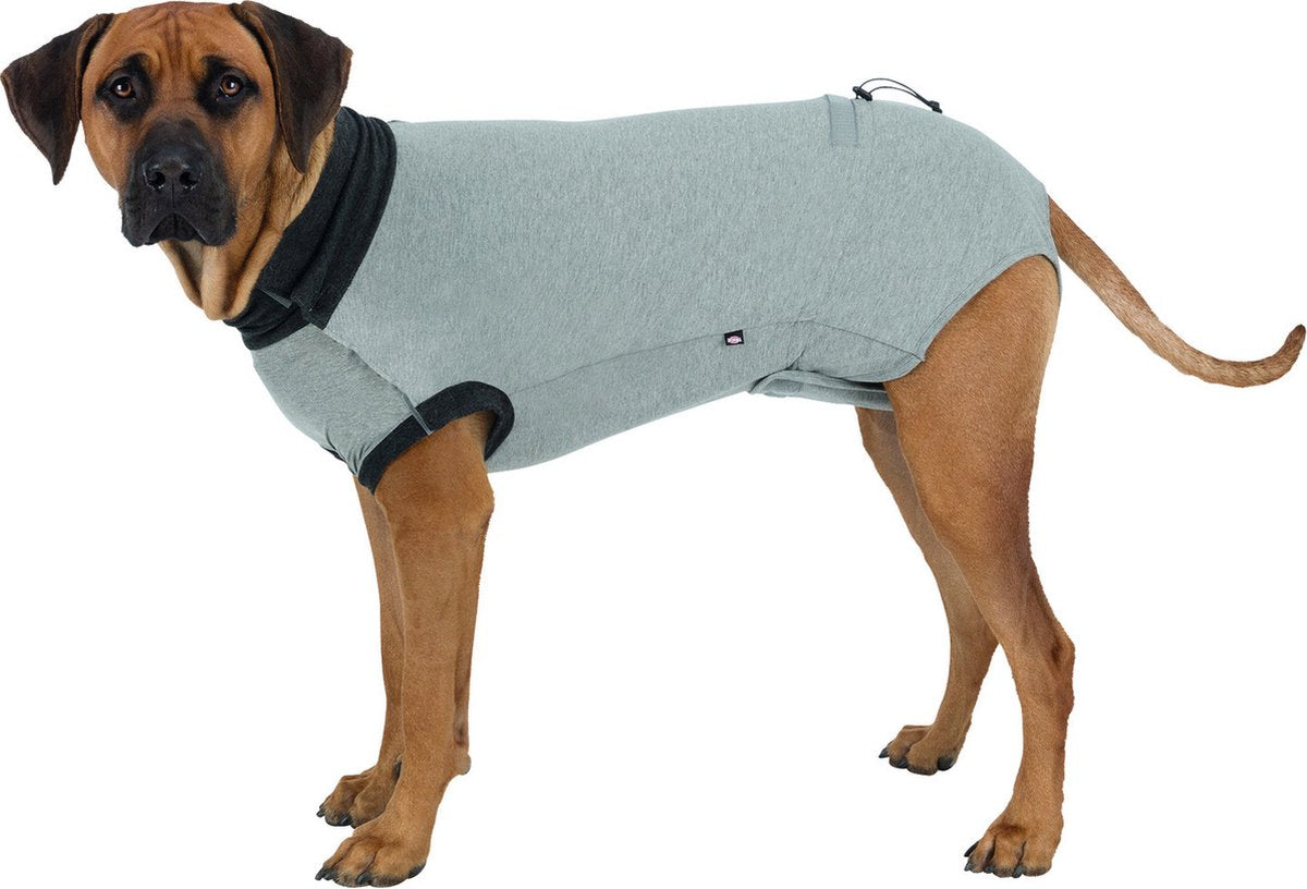 Chemise Trixie après chirurgie - gris s-m 40 cm - combinaison de protection chien, coton avec élasthanne