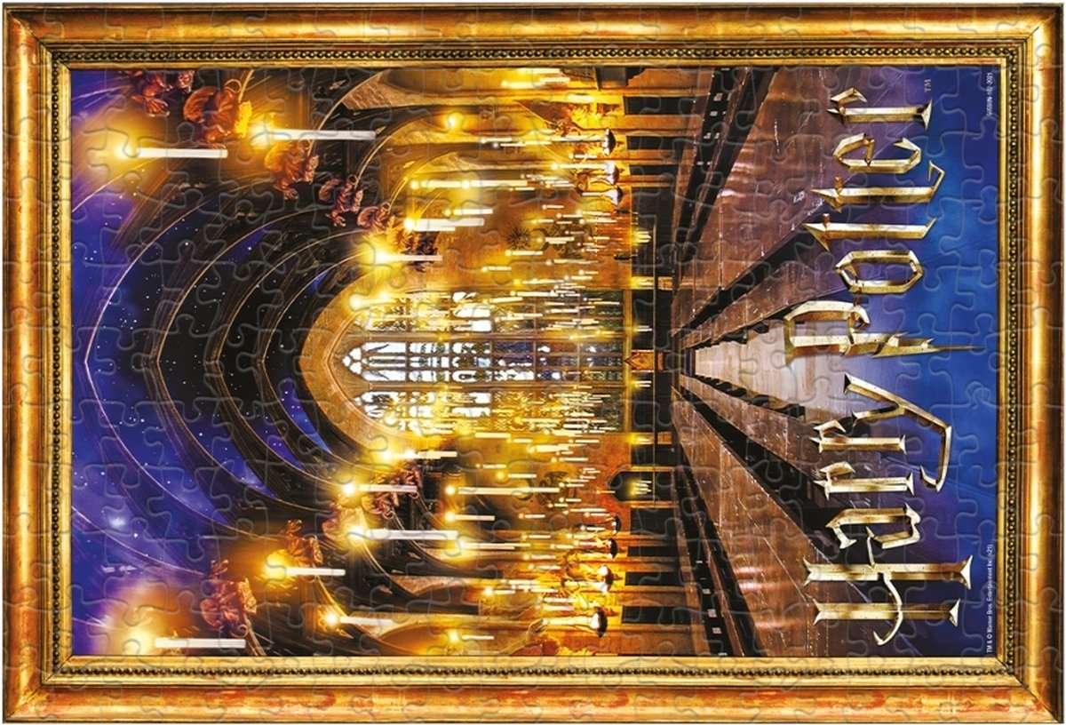 Coups gagnants Harry Potter - puzzle - grande salle 500 pièces