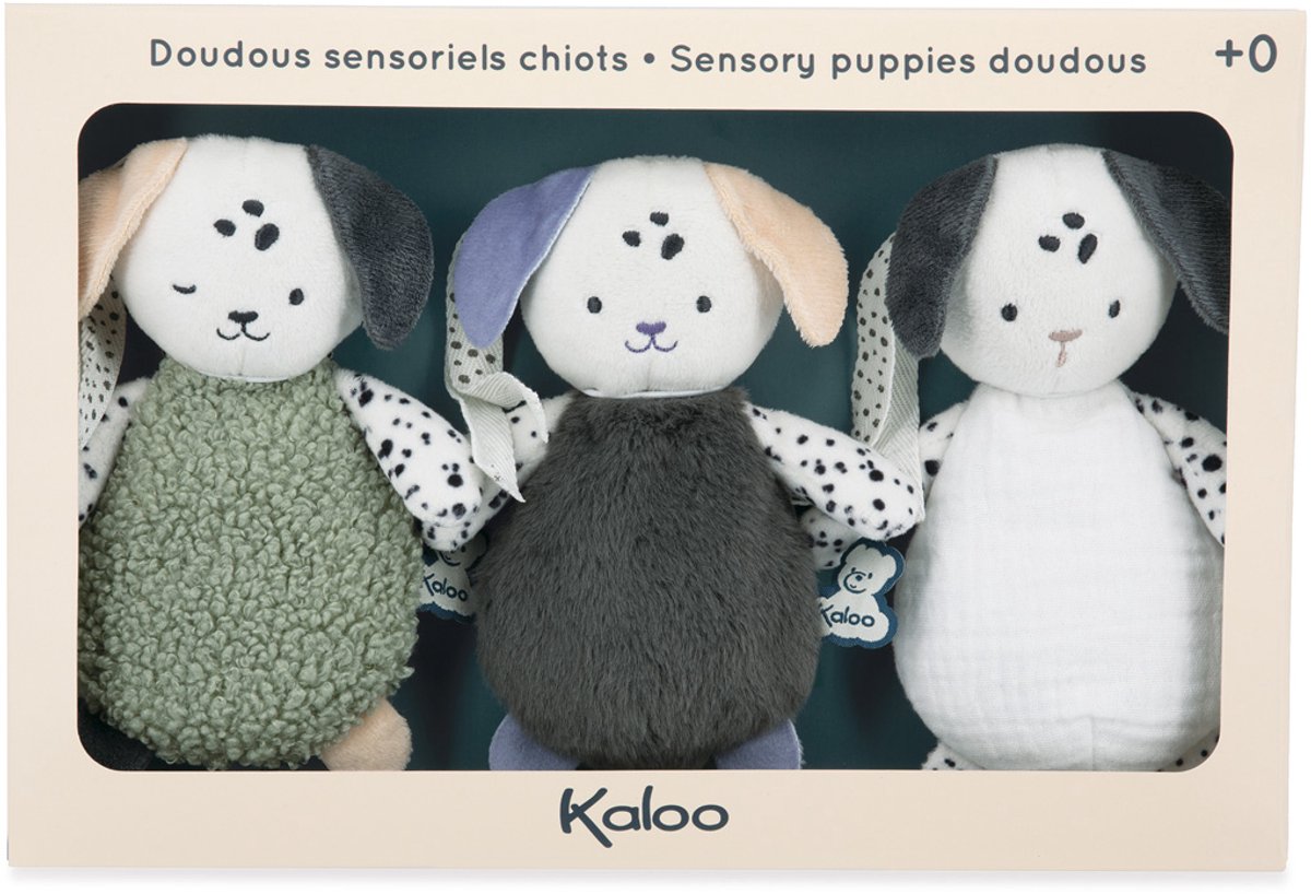 Stimuli Kaloo - chiens sensoriels