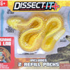 Dissect-it dissèque un méga coffret cadeau serpent à sonnette