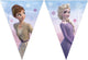 Ligne de drapeau en papier fsc Frozen 2 vent Spirti, 3mtr.