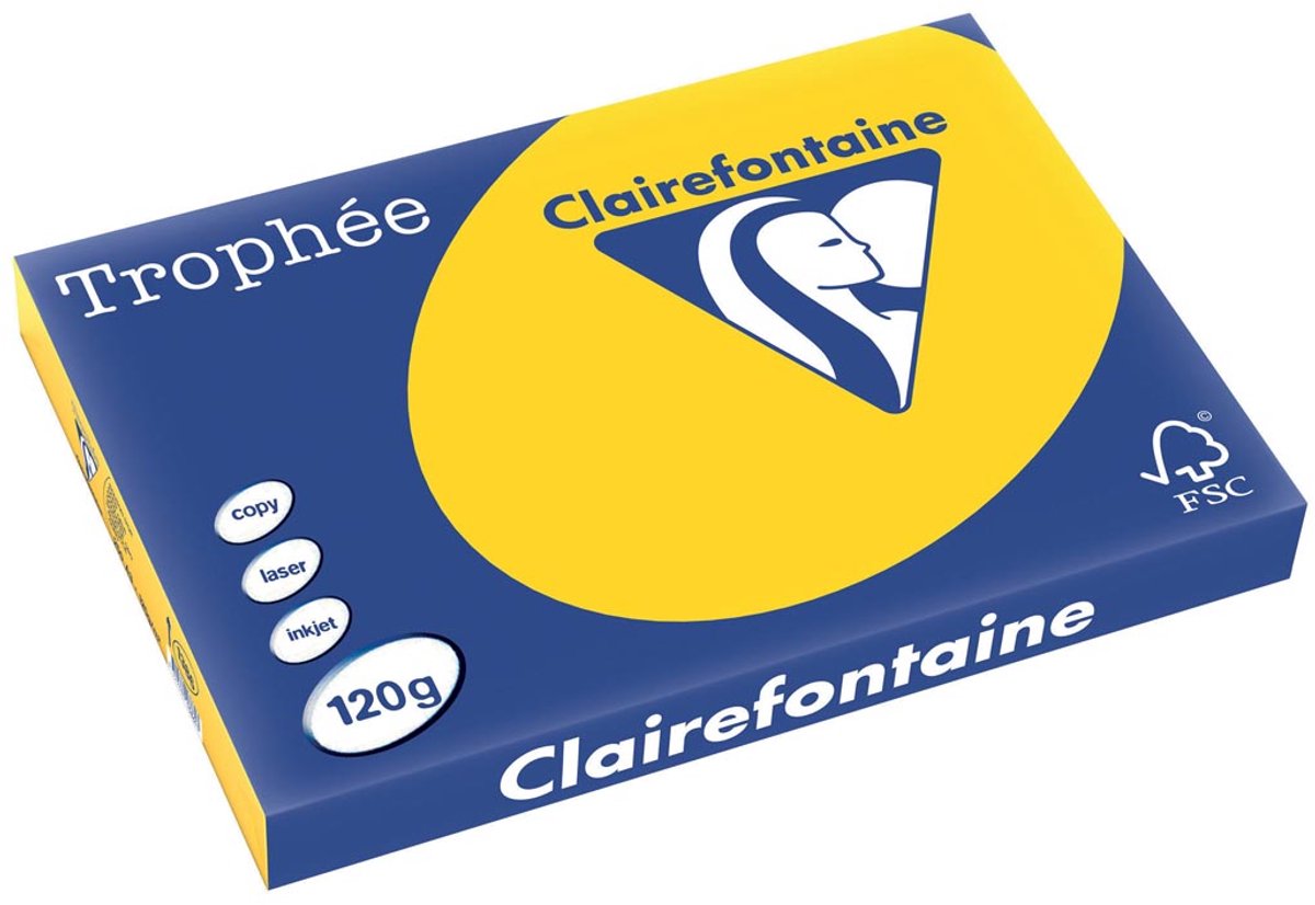 Trophee clairefontaine trophée pastel a3 jaune doré 120 g 250 feuilles