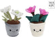 Peluche plante Take me home l Rose de Noël - 24cm