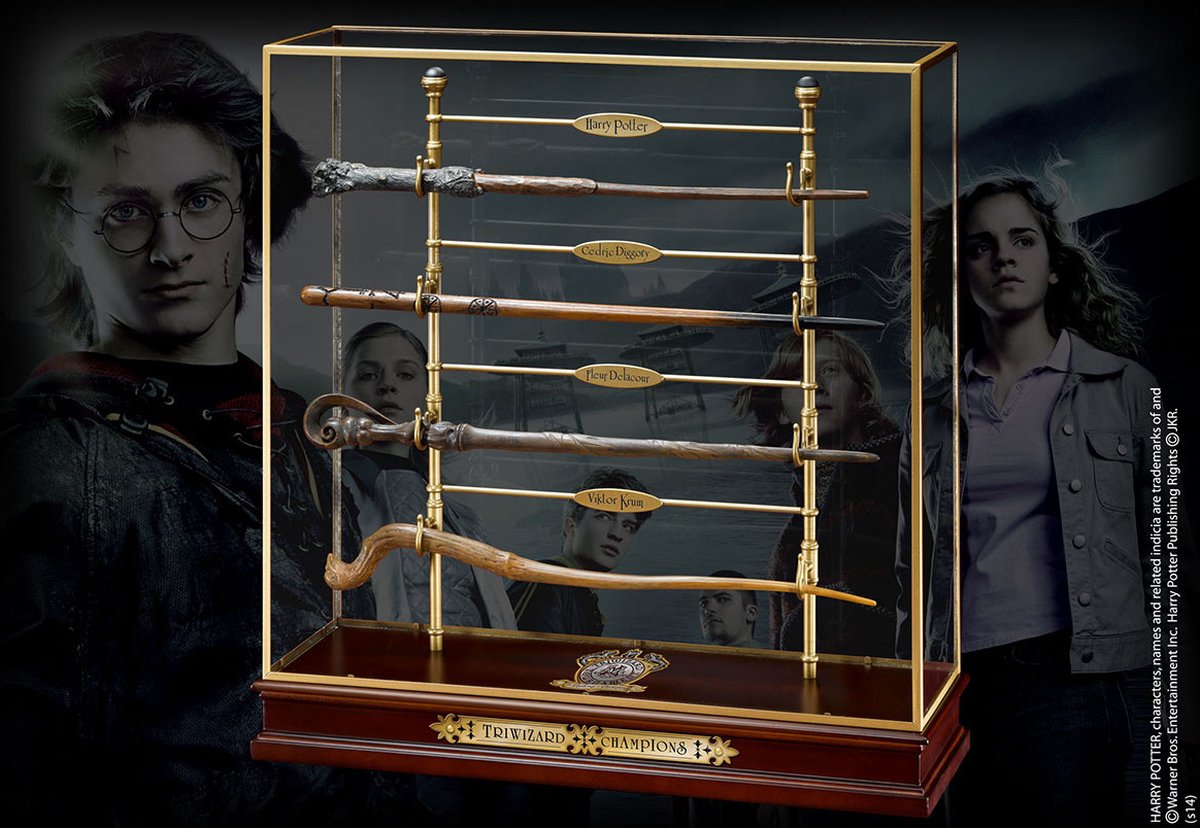 La noble collection Harry Potter - ensemble mural champions des trois sorciers