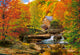Castorland puzzle automne - puzzle 1000 pièces adultes.