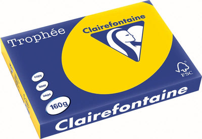Clairefontaine trophée pastel | papier de couleur | a3 | 160g | 250 feuilles | jaune d'or