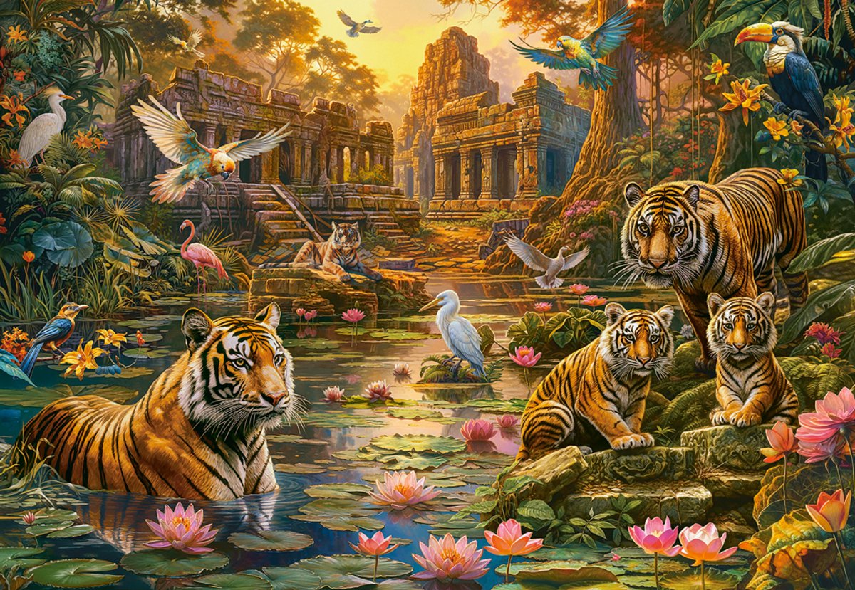 Puzzle Castorland Paradis des Tigres - Puzzle 1000 pièces.