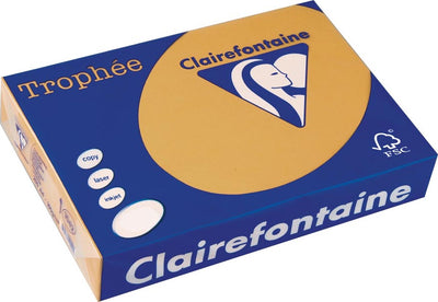 Clairefontaine trophée pastel a4 marron moka 160 g 250 feuilles