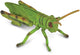 Figurine Collecta - sauterelle - (m) - insectes - peint à la main - miniature
