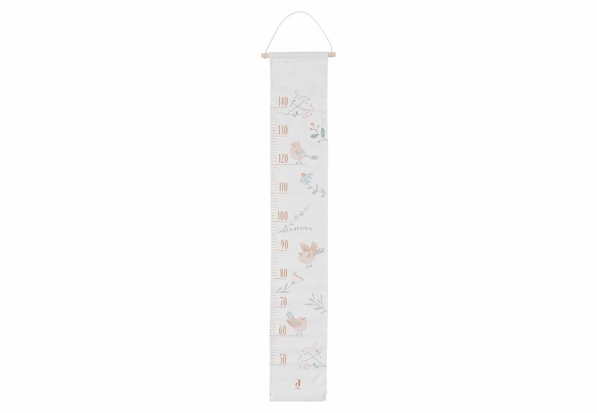 Toise Jollein beaux oiseaux