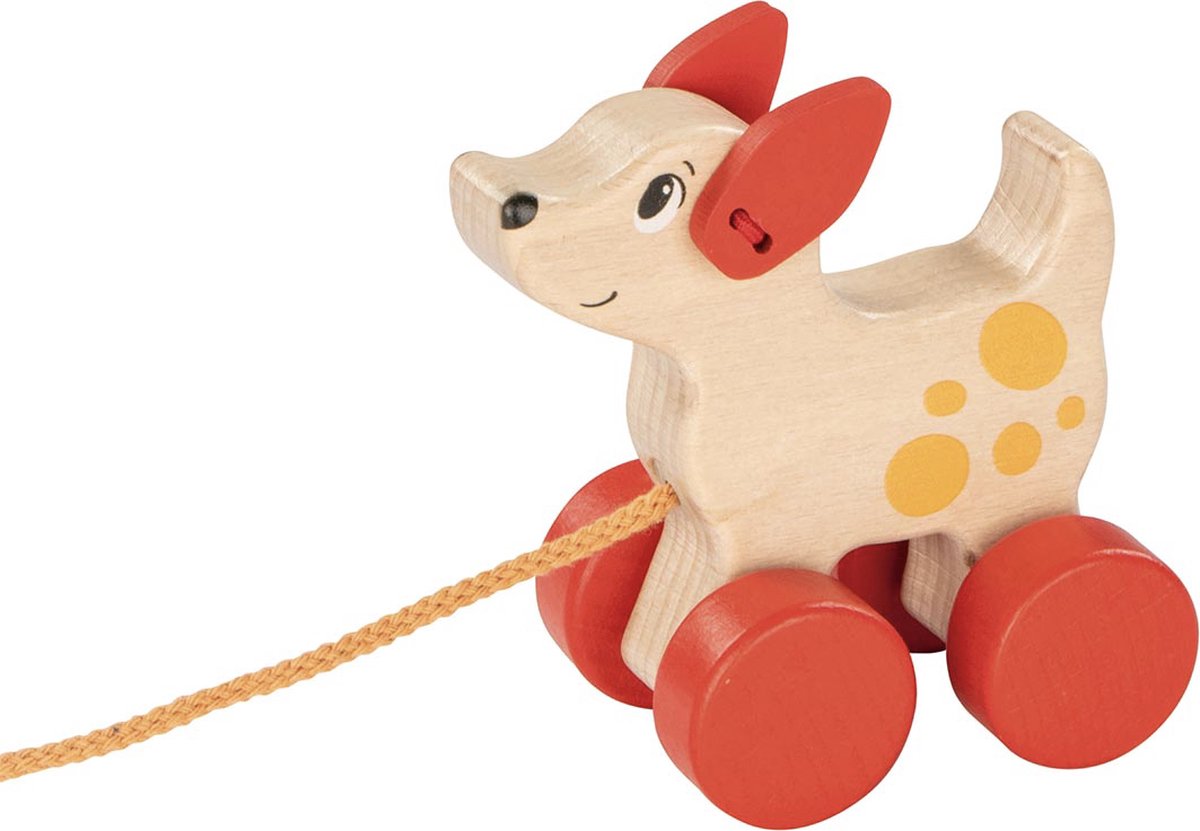 Animal de trait Goki - chien