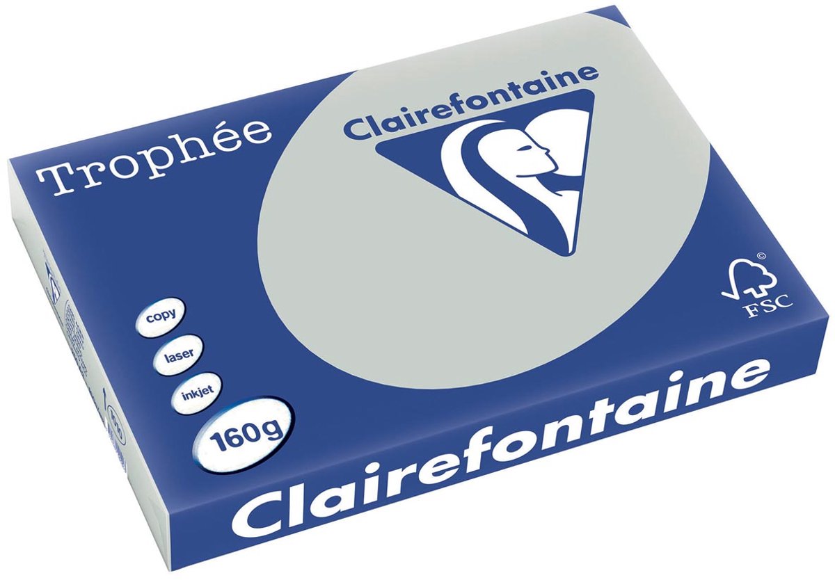 Clairefontaine trophée pastel | papier de couleur | a3 | 160g | 250 feuilles | gris clair