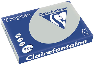 Clairefontaine trophée pastel | papier de couleur | a3 | 160g | 250 feuilles | gris clair