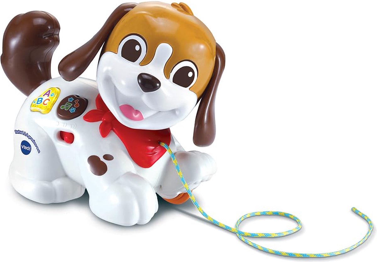 Vtech premier âge toutou, 1,2,3 promene-moi, 12 ans, piles requises, aaa, plastique, multicolore