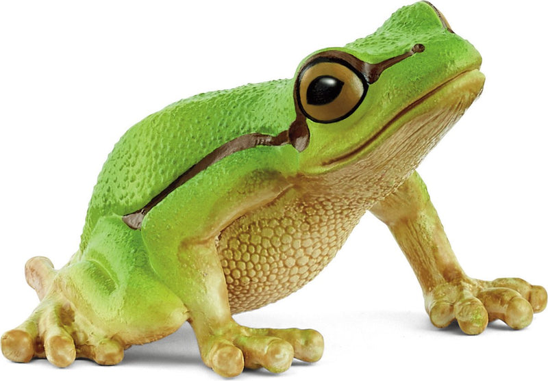 Schleich sauvage vie européenne grenouille arbre 14882