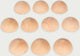 Tickit ® hémisphères en bois naturel
