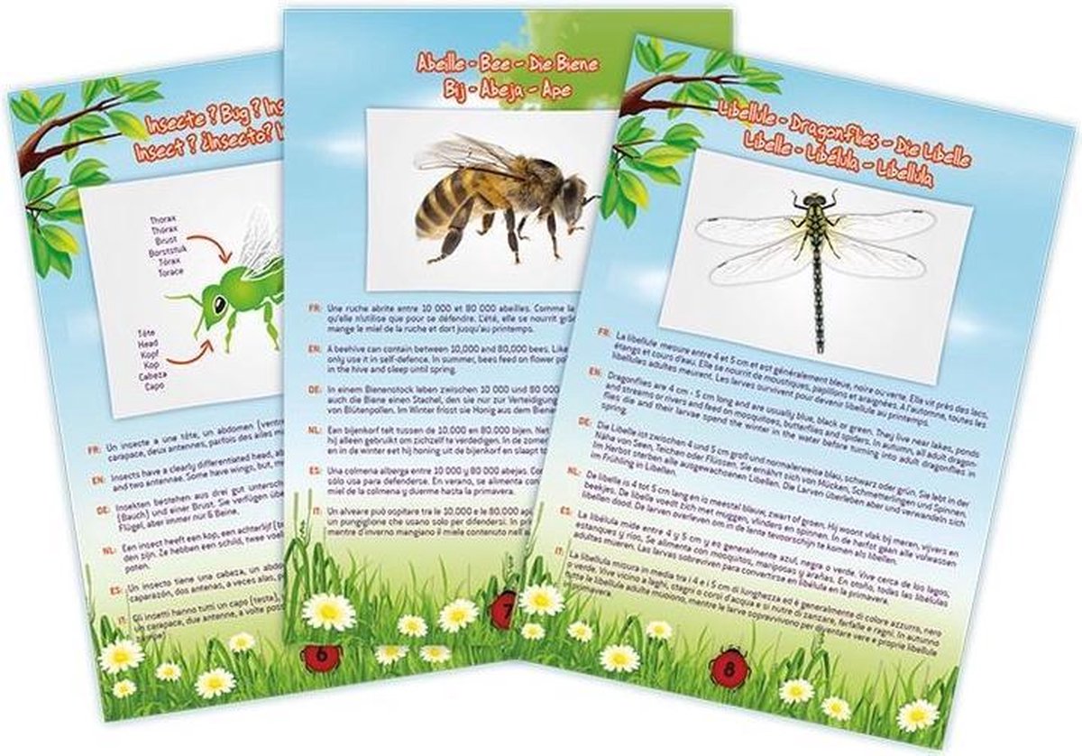 Buki france buki - meunier d'insectes
