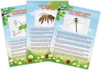 Buki france buki - meunier d'insectes