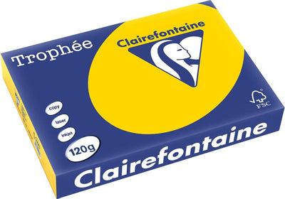 Clairefontaine trophée pastel, papier coloré, a4, 120 g, 250 feuilles, jaune doré