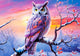 Castorland puzzle hibou puzzle - 500 pièces de jouets colorés.