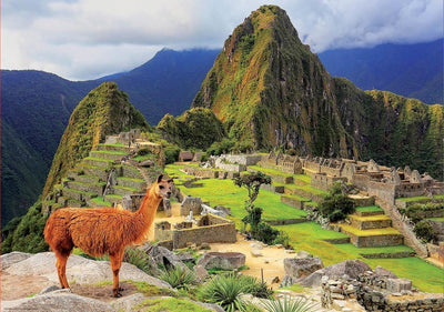 Puzzle Educa - Machu Picchu, Pérou (1000)
