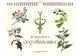 Calendrier des vendanges de Hagetisse de