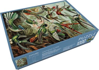 Bekking Blitz - puzzle - 1 000 pièces - art - formes d'art de la nature - Ernst Haeckel - Musée Teylers